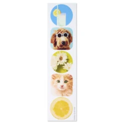 Hallmark Sunny And Sweet Assorted Multi-Occasion Cards, Pack Of 4 -Hallmark Gift Shop Dog and Cat Just Because Cards Pack With Stickers 3JBC1001 06