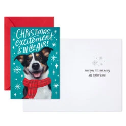 Hallmark Christmas Excitement Boxed Christmas Cards, Pack Of 16 -Hallmark Gift Shop Dog in Scarf Boxed Christmas Cards 1XPX2578 03