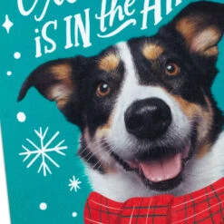 Hallmark Christmas Excitement Boxed Christmas Cards, Pack Of 16 -Hallmark Gift Shop Dog in Scarf Boxed Christmas Cards 1XPX2578 05