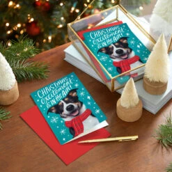 Hallmark Christmas Excitement Boxed Christmas Cards, Pack Of 16 -Hallmark Gift Shop Dog in Scarf Boxed Christmas Cards 1XPX2578 08