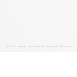 Hallmark UNICEF Peaceful Earth Ornament Boxed Christmas Cards, Pack Of 12 -Hallmark Gift Shop Dove and Globe UNICEF Boxed Christmas Cards 1URS2331 05