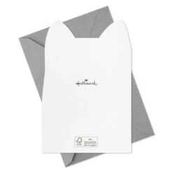 Hallmark Cats With Attitude Assorted Blank Cards, Pack Of 16 -Hallmark Gift Shop DressedUp Cats Blank Cards Assortment 5STZ1330 06