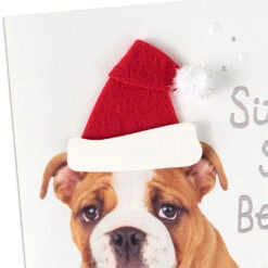 Hallmark Happy From Head To Tail, Dog Christmas Card -Hallmark Gift Shop English Bulldog in Santa Hat Christmas Card 699XZH3804 04