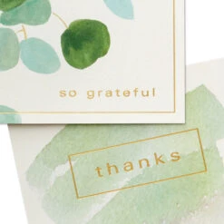 Hallmark Watercolor Eucalyptus Assorted Blank Thank-You Notes, Pack Of 40 9 Hallmark Watercolor Eucalyptus Assorted Blank Thank-You Notes, Pack Of 40 -Hallmark Gift Shop Eucalyptus on White Bulk Blank ThankYou Cards Pack 3THK2142 03