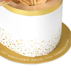 Hallmark Let Gratitude Grow Pop-Up Thanksgiving Card -Hallmark Gift Shop Feathers and Leaves 3D PopUp Thanksgiving Card 799TH5002 03