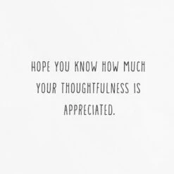 Hallmark Fern Border Sympathy Thank You Notes, Pack Of 10 -Hallmark Gift Shop Fern Leaves Sympathy Blank Thank You Notes Pack 3THK2562 03