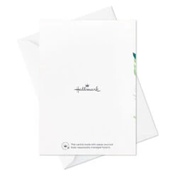 Hallmark Fern Border Sympathy Thank You Notes, Pack Of 10 -Hallmark Gift Shop Fern Leaves Sympathy Blank Thank You Notes Pack 3THK2562 06