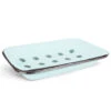 Finchberry Blue Metal Farmhouse Soap Dish, 2 Pieces -Hallmark Gift Shop Finchberry Light Blue Metal Soap Dish 30442BLUE 01