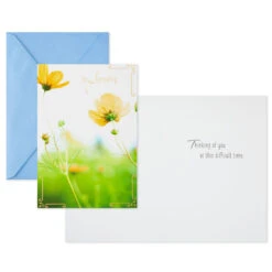 Hallmark Nature Scenes Assorted Support And Sympathy Cards, Pack Of 8 -Hallmark Gift Shop Floral Assorted Care and Concern Cards 799WWZ1034 03