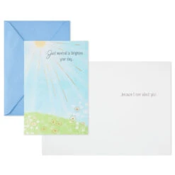 Hallmark Nature Scenes Assorted Support And Sympathy Cards, Pack Of 8 -Hallmark Gift Shop Floral Assorted Care and Concern Cards 799WWZ1034 05