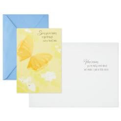 Hallmark Nature Scenes Assorted Support And Sympathy Cards, Pack Of 8 -Hallmark Gift Shop Floral Assorted Care and Concern Cards 799WWZ1034 06