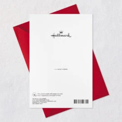 Hallmark No One Like You Christmas Card For Mom -Hallmark Gift Shop Flowers and Cardinal Mom Christmas Card 799XZH2219 08