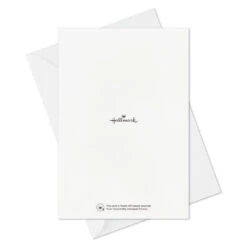 Hallmark Sending A Hug Assorted Blank Cards, Pack Of 12 -Hallmark Gift Shop Flowers and Vines Thinking of You Cards Assortment 3EDX2030 07