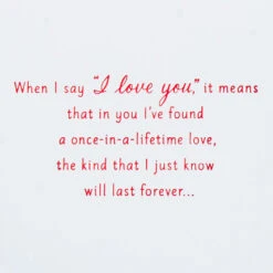 Hallmark I Love You With All My Heart Romantic Christmas Card -Hallmark Gift Shop Foxes in Snow Romantic Christmas Card 759XZH2353 02