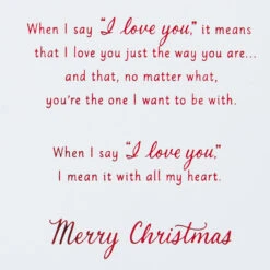 Hallmark I Love You With All My Heart Romantic Christmas Card -Hallmark Gift Shop Foxes in Snow Romantic Christmas Card 759XZH2353 03