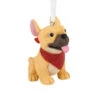 French Bulldog Hallmark Ornament -Hallmark Gift Shop French Bulldog Christmas Ornament 1HGO3591 01
