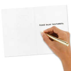 Hallmark Cheesy Puns Assorted Funny Cards, Pack Of 12 -Hallmark Gift Shop Fun Illustrations and Puns Funny Cards Assortment 3EDX2026 06