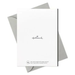 Hallmark Taking A Moment To Say Thanks Blank Thank You Notes, Pack Of 10 -Hallmark Gift Shop Gold Script on Black Blank Thank You Note Cards 3THK2173 06