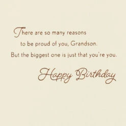 Hallmark Easy To Be Proud Of You Birthday Card For Grandson -Hallmark Gift Shop Green Leaves Birthday Card for Grandson 659MAN4109 03