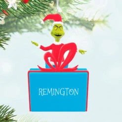 Hallmark Dr. Seuss's How The Grinch Stole Christmas!™ On Present Personalized Ornament, Custom Text -Hallmark Gift Shop Grinch on Present Personalized Ornament 1QHE2206B3 02