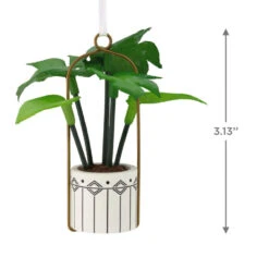 Hanging Houseplant Hallmark Ornament -Hallmark Gift Shop Hanging Potted Plant Christmas Ornament 1HGO3495 04