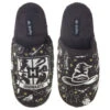 Hallmark Harry Potter™ Sorting Hat™ Slippers With Sound, Small/Medium