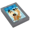 Hallmark Herald Angels Boxed Christmas Cards, Pack Of 16 -Hallmark Gift Shop Herald Angels Boxed Christmas Cards 1APX1059 01