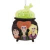 Disney Hocus Pocus Cauldron Hallmark Ornament -Hallmark Gift Shop Hocus Pocus Cauldron Christmas Ornament 3HCM2169 01