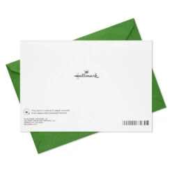 Hallmark Holiday Berries And Greenery Boxed Christmas Cards, Pack Of 16 -Hallmark Gift Shop Holiday Berries and Greenery Boxed Christmas Cards 1XPX1279 07