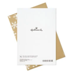 Hallmark Your Own Kind Of MerryBoxed Holiday Cards, Pack Of 16 -Hallmark Gift Shop Holly Greenery on Red Boxed Christmas Cards 1XPX2219 07