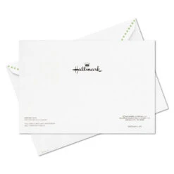 Hallmark Holly And Ornament Boxed Christmas Cards, Pack Of 40 -Hallmark Gift Shop Holly and Ornament Bulk Boxed Christmas Cards 1BXX1026 07