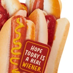 Hallmark Hope Today Is A Real Wiener Hot Dog Bouquet Funny 3D Pop-Up Card -Hallmark Gift Shop Hot Dog Bouquet Funny 3D PopUp Card 799WDR6001 03