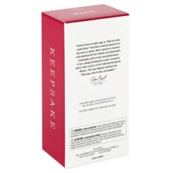 Hallmark Hot Wheels™ Mach Speeder™ Ornament With Light -Hallmark Gift Shop Hot Wheels Mac Speeder Keepsake Ornament 1999QXI7389 05