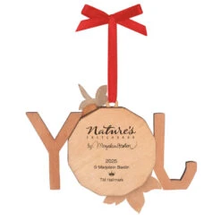 Hallmark Marjolein Bastin Charming Cardinals Papercraft Ornament -Hallmark Gift Shop Joy Cardinals Keepsake Ornament 5QXI7515 07