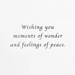 Hallmark Stately Deer In Snow Boxed Christmas Cards, Pack Of 12 -Hallmark Gift Shop Majestic Deer and Birch Christmas Cards Pack 1XPX5753 04