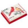 Hallmark Cardinals In Snow Blank Thank-You Cards, Pack Of 20 -Hallmark Gift Shop Male and Female Cardinals ThankYou Cards Pack 5STZ1333 01