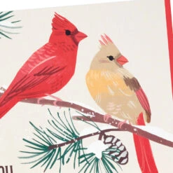 Hallmark Cardinals In Snow Blank Thank-You Cards, Pack Of 20 -Hallmark Gift Shop Male and Female Cardinals ThankYou Cards Pack 5STZ1333 03