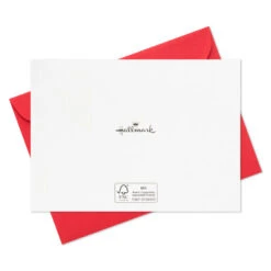 Hallmark Cardinals In Snow Blank Thank-You Cards, Pack Of 20 -Hallmark Gift Shop Male and Female Cardinals ThankYou Cards Pack 5STZ1333 05