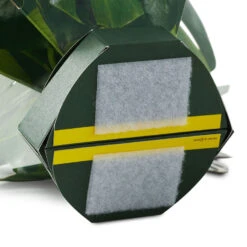 Hallmark Build-a-Bouquet Monstera Pop-Up Paper Plant -Hallmark Gift Shop Monstera PopUp Paper Plant 999WDR1298 06