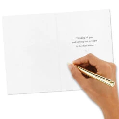 Hallmark Peaceful Nature Assorted Sympathy Cards, Pack Of 16 -Hallmark Gift Shop Muted Nature Scenes Sympathy Cards Assortment 5STZ1206 05