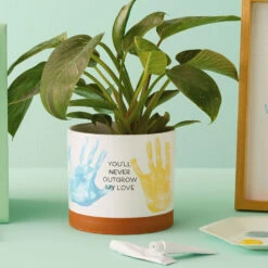 Hallmark Gift Shop -Hallmark Gift Shop Never Outgrow My Love Planter With Paints 1BBY4851 02