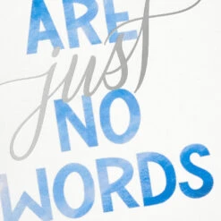 Hallmark There Are No Words Blank Sympathy Notes, Pack Of 20 -Hallmark Gift Shop No Words Tough Times Sympathy Cards Pack 5STZ1343 03