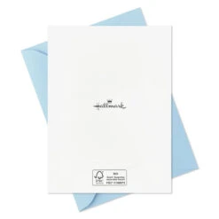 Hallmark There Are No Words Blank Sympathy Notes, Pack Of 20 -Hallmark Gift Shop No Words Tough Times Sympathy Cards Pack 5STZ1343 05