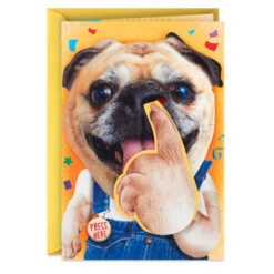 Hallmark Pickin' And Grinnin' Funny Musical Birthday Card With Motion