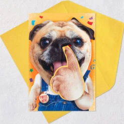 Hallmark Pickin' And Grinnin' Funny Musical Birthday Card With Motion -Hallmark Gift Shop NosePicking Pug Funny Musical and Motion Birthday Card 959ARH1597 05