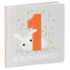 Hallmark One Is Wonderful! Birthday Book -Hallmark Gift Shop One Is Wonderful Birthday Book 1BOK1516 01
