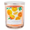 Hallmark Orange Vanilla Cream 3-Wick Jar Candle, 16 Oz. -Hallmark Gift Shop Orange Vanilla Cream 3Wick Jar Candle 1BGC1062 01