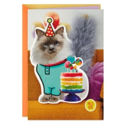 Hallmark Party Cat Funny Musical Birthday Card With Motion