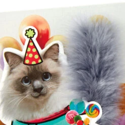 Hallmark Party Cat Funny Musical Birthday Card With Motion -Hallmark Gift Shop Party Cat Music Motion Funny Birthday Card 959ARH1464 04