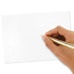 Hallmark Pattern Play Assorted Blank Note Cards, Pack Of 48 -Hallmark Gift Shop Pattern Play Assorted Blank Note Cards 5STZ5118 04